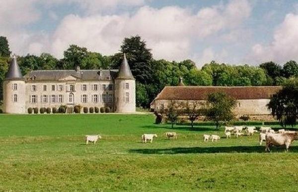 Chateau De Beaujeu Sens-Beaujeu Екстериор снимка